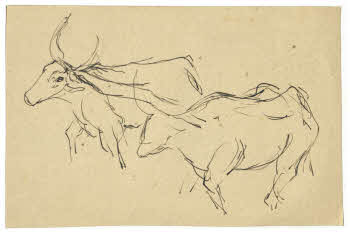 Visualizza l'immagine "FD D 145"